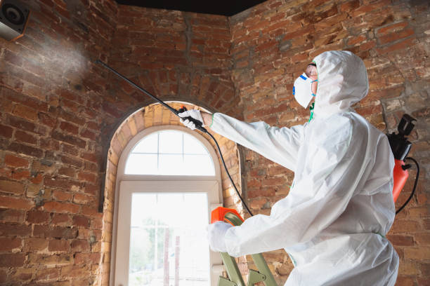 Best Mold Removal for HVAC Installations  in Red Lake, MN